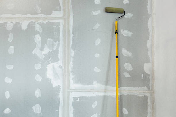 Best Commercial Drywall Repair  in Kyle, TX